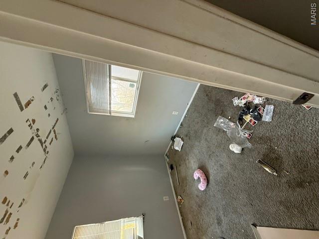 MLS #MIS26001936 image #13