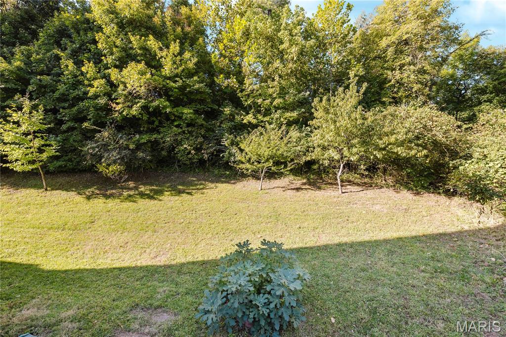 MLS #MIS26064526 image #67