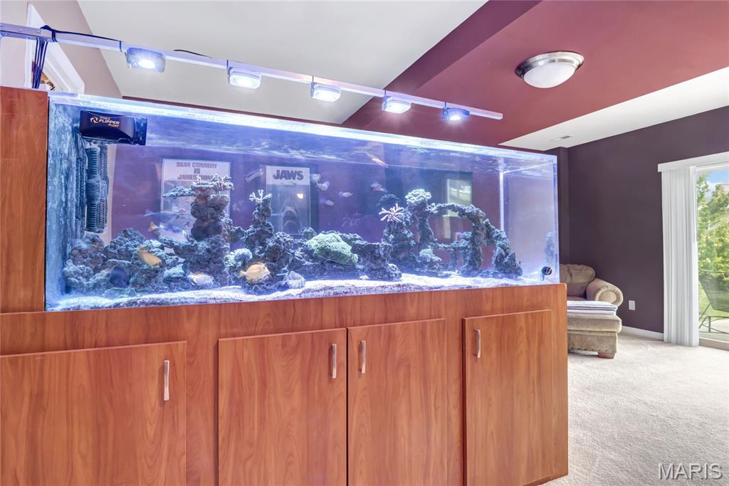 MLS #MIS26065509 image #42